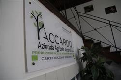 Azienda Agricola Biologica dei Fratelli Accardo