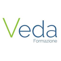 VEDA S.R.L.