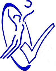 Associazione Sportiva Dilettantistica Pallavolo VALSUSA