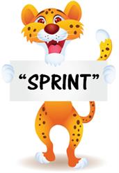 SPRINT SOCIETA' COOPERATIVA SOCIALE ONLUS