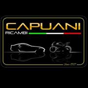 AUTORICAMBI CAPUANI S.R.L.