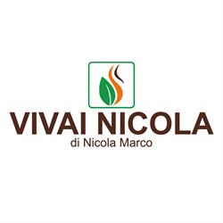 VIVAI NICOLA DI NICOLA MARCO