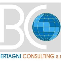 BERTAGNI CONSULTING S.R.L.