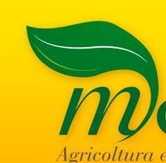 Consorzio Agrario Modeo agrimodeo Mag srl