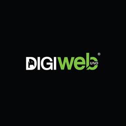 Digiwebuno S.r.l.