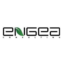 ENGEA  CONSULTING SRL