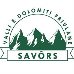 Consorzio delle Valli e delle Dolomiti friulane