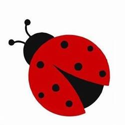 Centro La Coccinella
