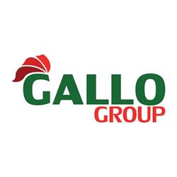 Gallo Group Srl