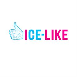 ICE GROUP - SOCIETA' A RESPONSABILITA' LIMITATA
