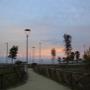 Gallery Professionale
