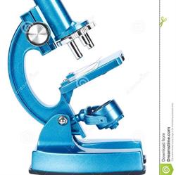 "LABORATORIO S.LUCA S.R.L."