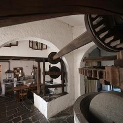CASALE AMATI DI LIVIA GUADAGNUCCI