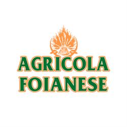 AGRICOLA FOIANESE DI PIZZILLO ORAZIO & C. S.N.C.