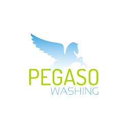 Pegaso Washing Autolavaggio a Domicilio