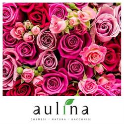 AULINA S.R.L.