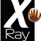 X-RAY SERVICE SRL
