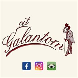 CIT GALANTOM DI DROVETTO TIZIANA