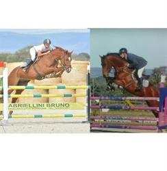 Centro Equestre Li Tauli - A.S.D. - Olbia- Sardegna