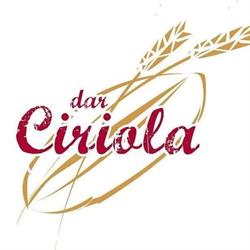 DAR CIRIOLA SOCIETA' A RESPONSABILITA' LIMITATA SEMPLIFICATA