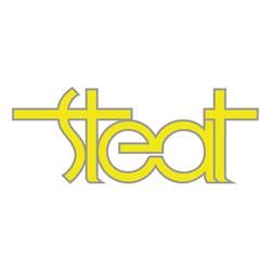 S.T.E.A.T.