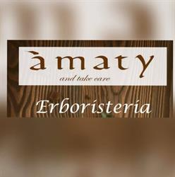 AMATY SOCIETA' A RESPONSABILITA' LIMITATA SEMPLIFICATA