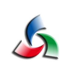 TEAM NETWORK INTERNATIONAL S.R.L.