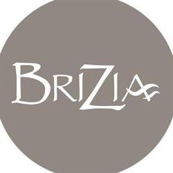 BRIZIA SOCIETA' A RESPONSABILITA' LIMITATA SEMPLIFICATA