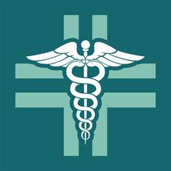 FARMACIA FOSSONA SNC DEI DOTT. LAMONICA IGNAZIO E GIULIA