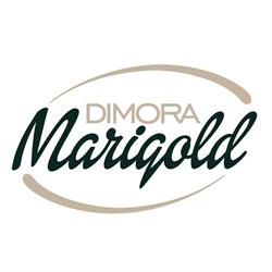 DIMORA MARIGOLD SOCIETA' A RESPONSABILITA' LIMITATA