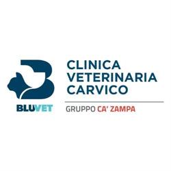 Clinica Veterinaria Carvico - BluVet