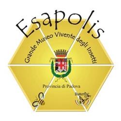 Esapolis