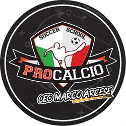PRO CALCIO SOCCER SCHOOL SOCIETA' SPORTIVA DILETTANTISTICA A RESPONSABILITA' LIMITATA