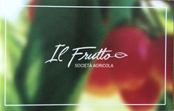 SOCIETA' AGRICOLA IL FRUTTO