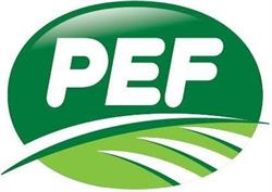 PEF s.r.l.