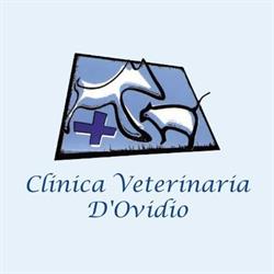 Clinica Veterinaria D Ovidio