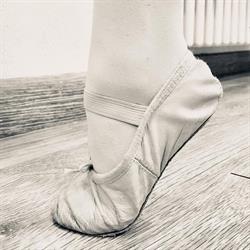 Centro del balletto Endas a.s.d.