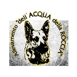 Allevamento del Pastore Tedesco dell'Acqua della Roccia dal 1979