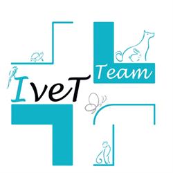 Centro Veterinario Ivet Team