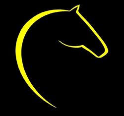 canter asd e aps