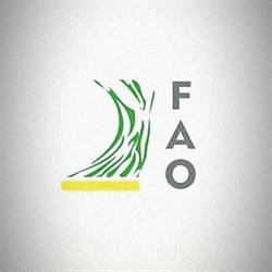 Fao Arredamenti