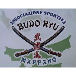 Associazione Sportiva Dilettantistica Budo Ryu Mappano