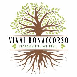 Vivai Bonaccorso