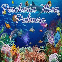 Pescheria Ittica Palmese