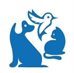 Ambulatorio Veterinario Morianese
