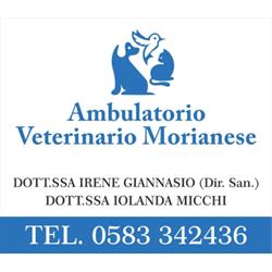 Ambulatorio Veterinario Morianese