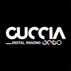Cuccia Stampa Digitale