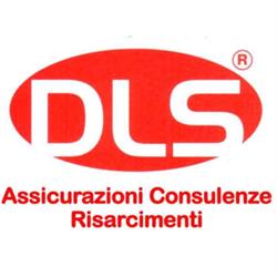 DLS Assicurazioni - Consulenze - Risarcimenti