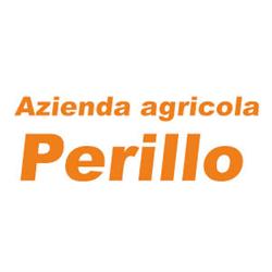 Azienda Agricola Perillo Raffaello