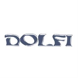 Dolfi Autonoleggio di Dolfi Giovanni e C.
